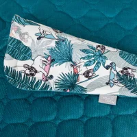 Baby blanket (75x100) + pillow (30x40) French Bulldog
