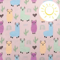 Butterfly pillow Lolly Polly Lama