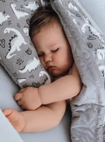 Baby blanket (75x100) + pillow (30x40) Candy Andy Dino